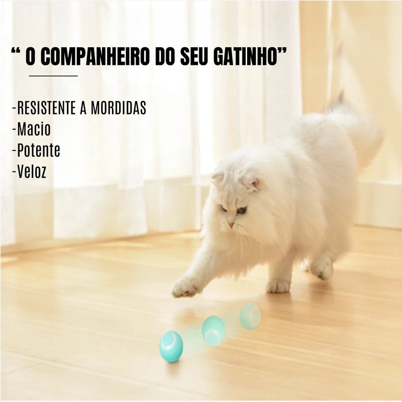 Bola Mágica Interativa para Gatos