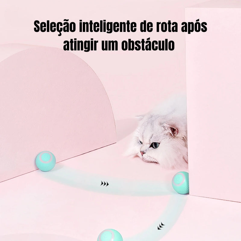 Bola Mágica Interativa para Gatos